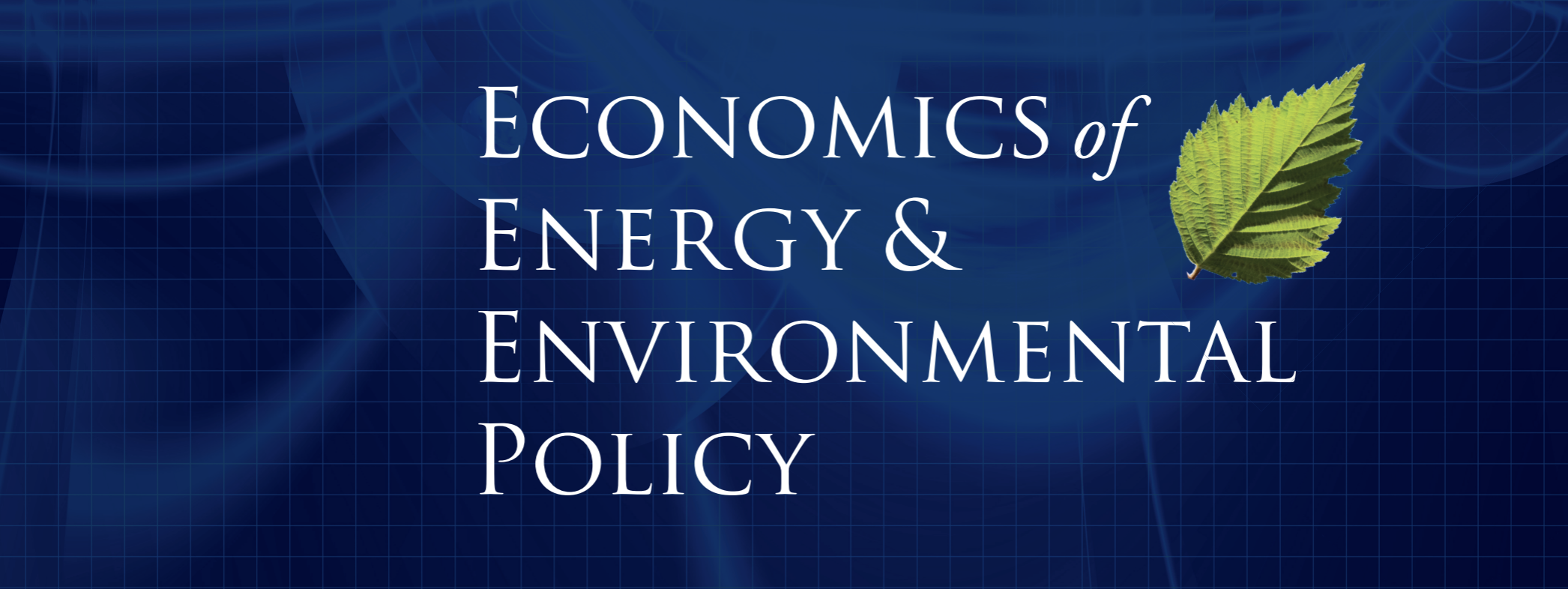 Some Political Economy of Global Warming - EEEP